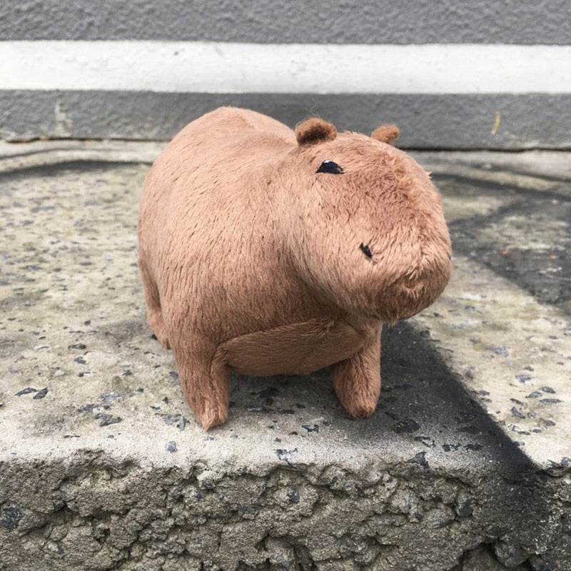 CapybaraPlush (ONLY $5.99 TODAY)